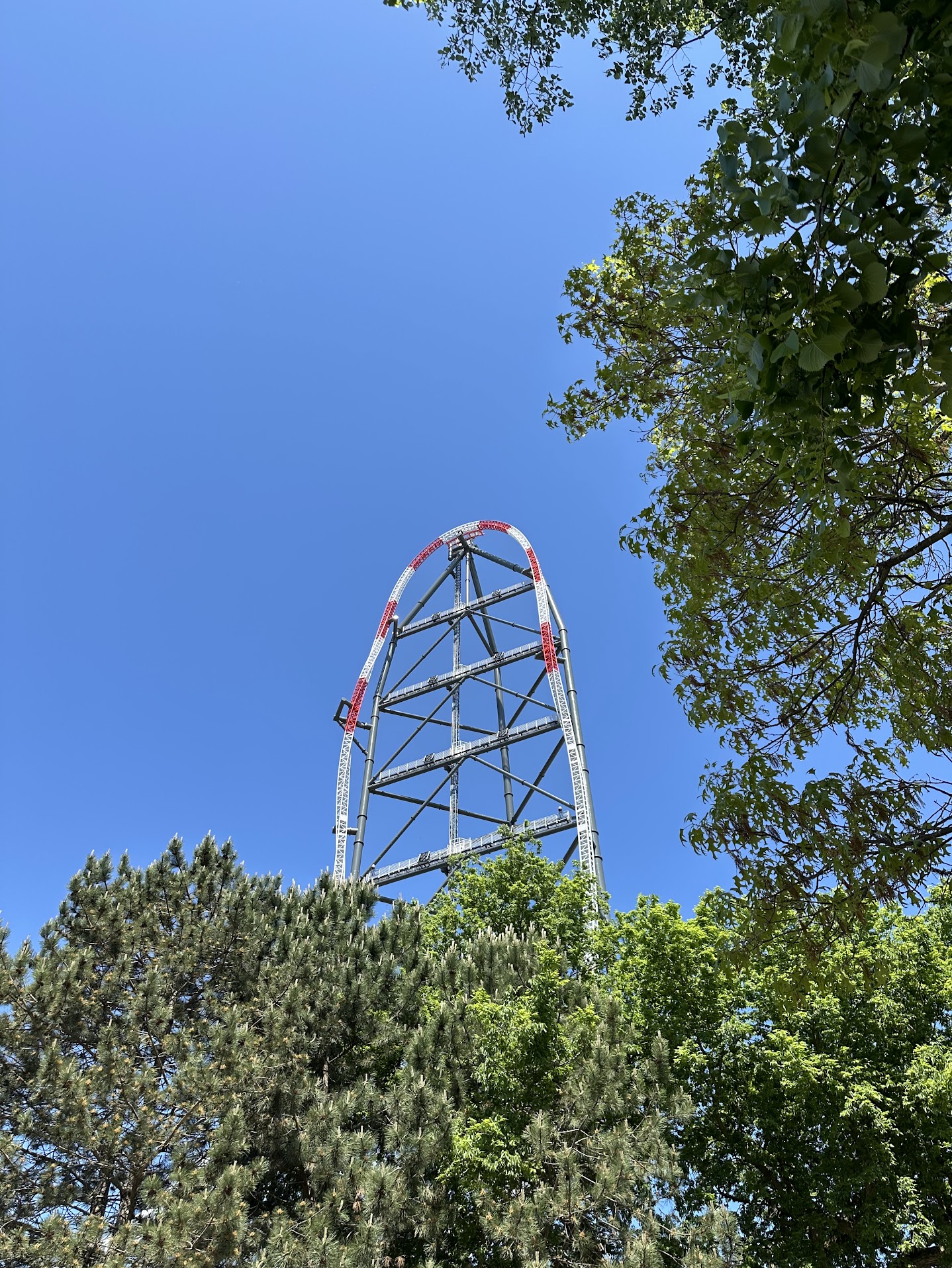 Top Thrill 2 Top Hat